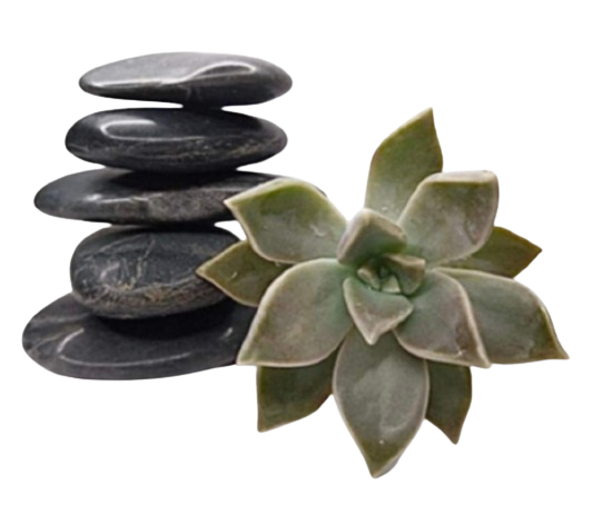 Vicki McNabb - Psychology Services